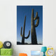 Two Saguaro Cacti In The Sonoran Desert Wall Mural