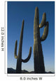 Two Saguaro Cacti In The Sonoran Desert Wall Mural