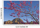 A Tree With Pink Blossoms In Red Rock Country Wall Mural