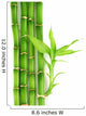 Bamboo Wall Decal