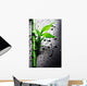 Bamboo Wall Mural