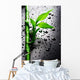 Bamboo Wall Mural