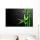 Bamboo over Black Wall Mural