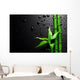 Bamboo over Black Wall Mural