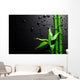 Bamboo over Black Wall Mural