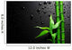 Bamboo over Black Wall Mural
