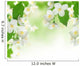 Jasmine Border