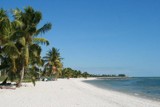 Lonely Caribbean beach, Key West, Florida Wall Mural