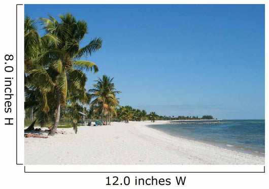 Lonely Caribbean beach, Key West, Florida Wall Mural