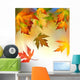 Falling Autumnal Leaves Wall Mural