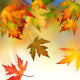 Falling Autumnal Leaves Wall Mural
