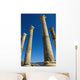 Column In Capitol In Ancient Roman City Wall Mural
