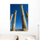 Column In Capitol In Ancient Roman City Wall Mural