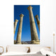 Column In Capitol In Ancient Roman City Wall Mural