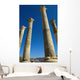 Column In Capitol In Ancient Roman City Wall Mural