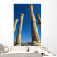Column In Capitol In Ancient Roman City Wall Mural