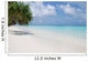 Beach With Palm Trees Wall Mural
