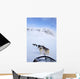 Dogs Pulling Sled Towards Hallingskarvet Mountain Wall Mural