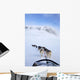 Dogs Pulling Sled Towards Hallingskarvet Mountain Wall Mural