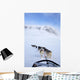 Dogs Pulling Sled Towards Hallingskarvet Mountain Wall Mural