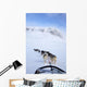 Dogs Pulling Sled Towards Hallingskarvet Mountain Wall Mural