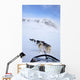 Dogs Pulling Sled Towards Hallingskarvet Mountain Wall Mural