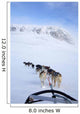 Dogs Pulling Sled Towards Hallingskarvet Mountain Wall Mural