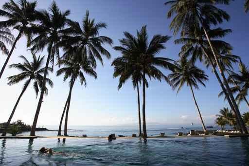 Coconut Trees Swimming Pool Wall Decal