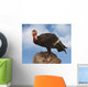 california condor Wall Mural