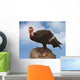 california condor Wall Mural