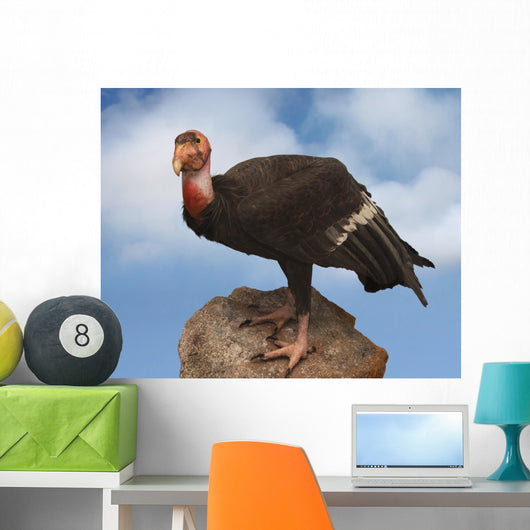 california condor Wall Mural