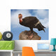 california condor Wall Mural