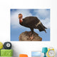 california condor Wall Mural