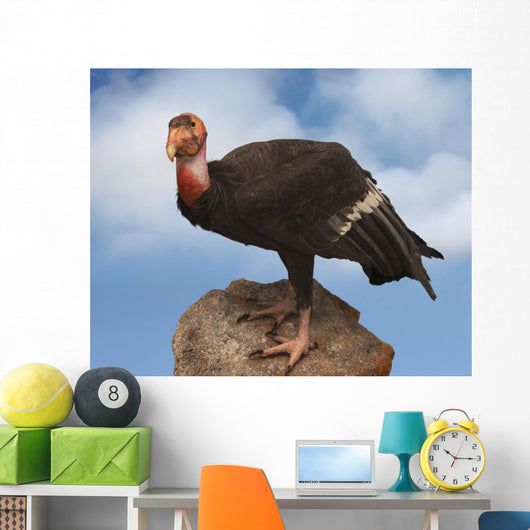 california condor Wall Mural