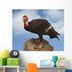 california condor Wall Mural