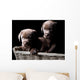 Two Chocolate Labrador Puppies in a Basket Wall Mural