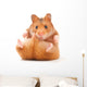 Hamster Wall Decal