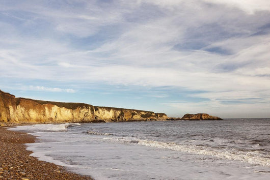 Tide Along The Coastline Wall Mural