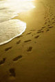 Footprints Sunrise Wall Decal