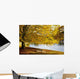 A Large Tree And Bench Along The Water In Autumn Wall Mural