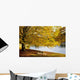 A Large Tree And Bench Along The Water In Autumn Wall Mural