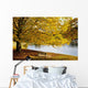 A Large Tree And Bench Along The Water In Autumn Wall Mural