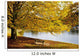 A Large Tree And Bench Along The Water In Autumn Wall Mural