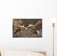 Two Deer Fighting With Antlers Wall Mural