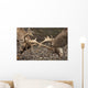 Two Deer Fighting With Antlers Wall Mural