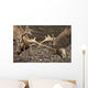 Two Deer Fighting With Antlers Wall Mural