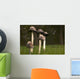 Mushrooms With Tall Stems Growing In The Grass Wall Mural