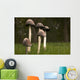 Mushrooms With Tall Stems Growing In The Grass Wall Mural