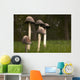 Mushrooms With Tall Stems Growing In The Grass Wall Mural