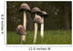 Mushrooms With Tall Stems Growing In The Grass Wall Mural
